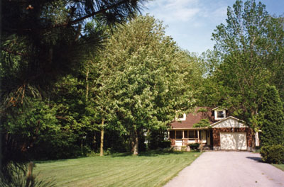 The house nestled among some trees in the summer.